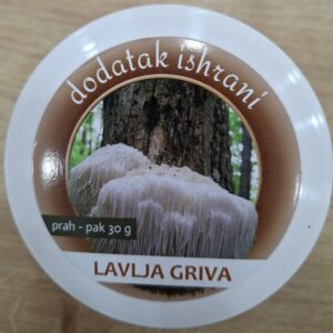 Lavlja griva u prahu 30g