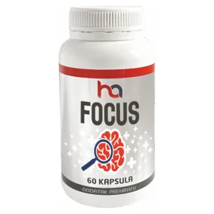 Focus a 60cps HA company