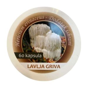 Lavlja griva cps a60